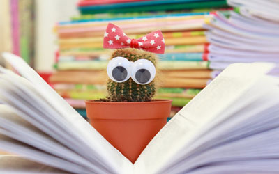 ddos攻击ip软件下载