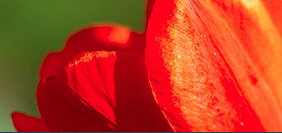 怎么去攻击一个网站与防护