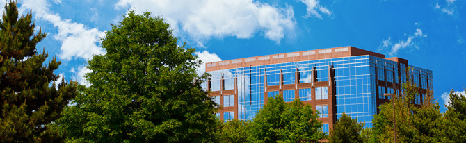 令人舒适的doss网站攻击